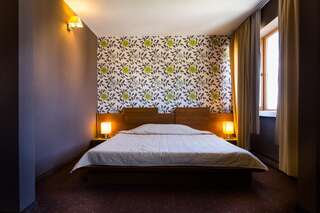 Отель Hemus Hotel - Vratza Vratsa Двухместный номер с 1 кроватью-2
